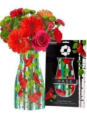 CardyParty (Cardinals) Lrg Decorative Vase By Modgy Made of BPA Free Plastic NIB